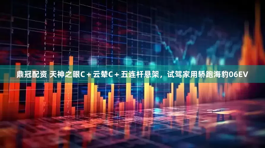 鼎冠配资 天神之眼C＋云辇C＋五连杆悬架，试驾家用轿跑海豹06EV